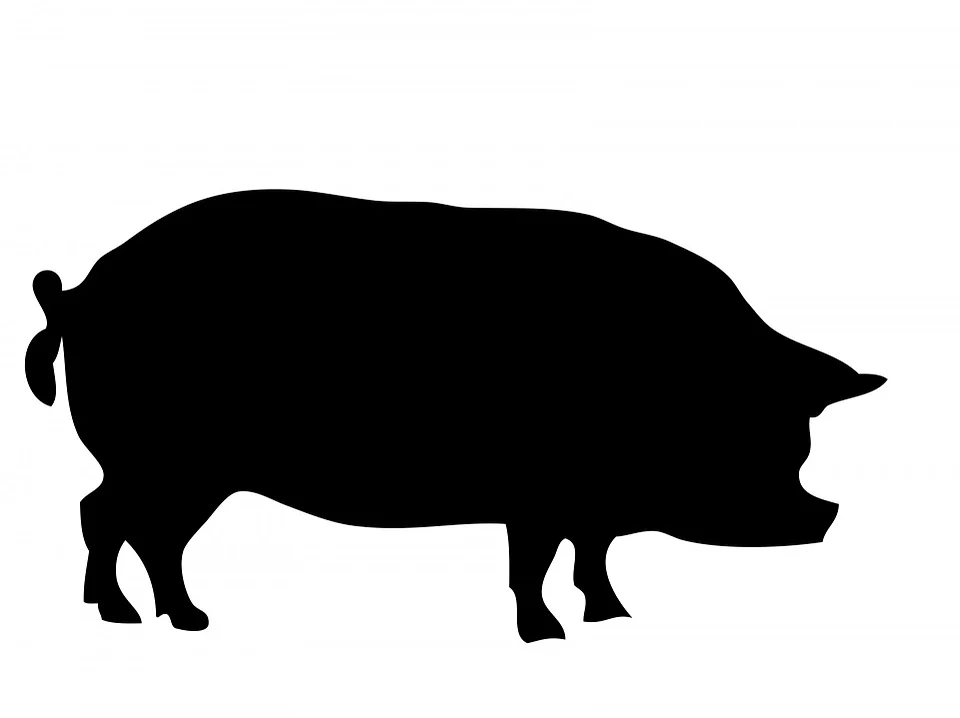 PRASATA