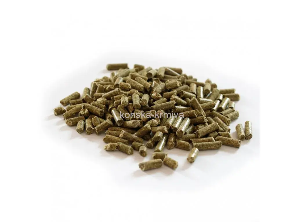 FITMIN HORSE SPORT - 25 KG