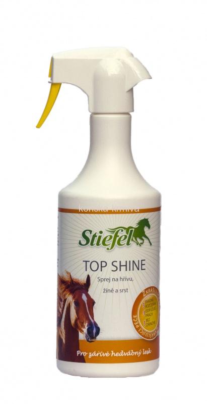 Stiefel Top shine 750ml