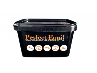 Perfect Equi COMPLETE+